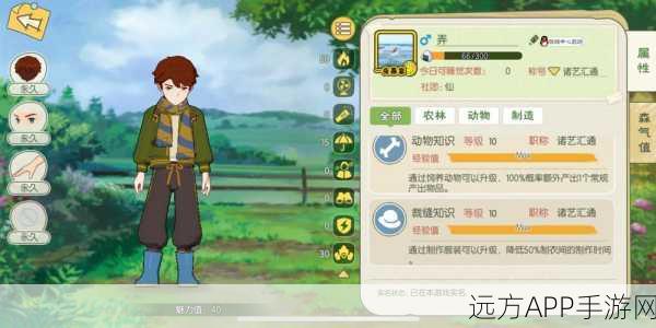 小森生活甲虫对战冠军之路,深度攻略与实战秘籍