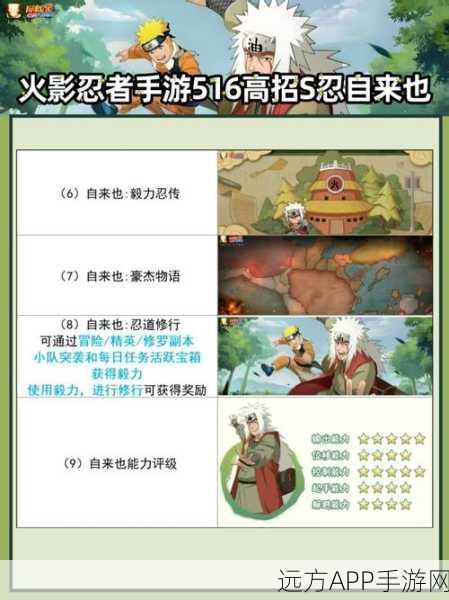 火影忍者疾风传，高效攻略！揭秘高招券获取与攒取绝技