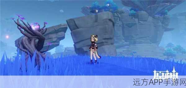 探秘原神,珊瑚宫鲸井小弟手鞠全位置攻略与任务秘籍