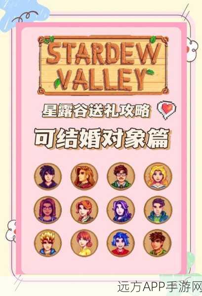 星露谷物语,NPC礼物攻略大揭秘,解锁深厚友谊的秘诀!