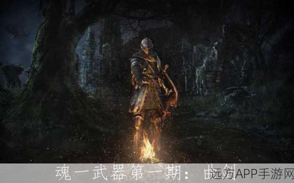 黑暗之魂中剑类武器究竟有何独特之处？全面资料详解揭秘！