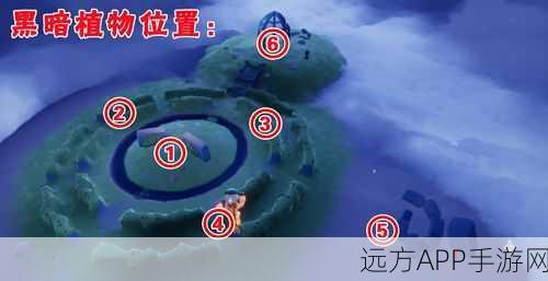 光遇小王子季深度攻略，揭秘第四个任务高效完成秘籍