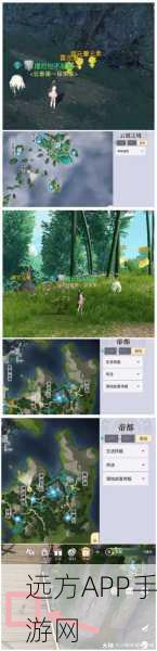 探秘天谕手游,解锁不知名花瓣隐藏任务全攻略