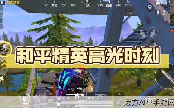 和平精英高光时刻,打造专属战场回忆录视频收藏全攻略