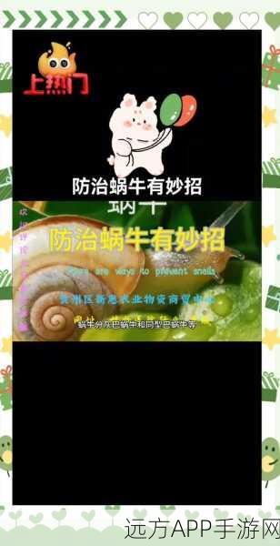 揭秘最强蜗牛中被污染的黑蝌蚪,神秘用途与获取攻略