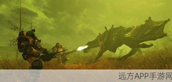 辐射76深度攻略，解锁极致经验加成，全面掌握经验BUFF获取技巧