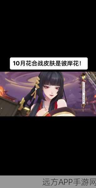 阴阳师花合战遗漏奖励补救指南,详解补救措施与赛季亮点