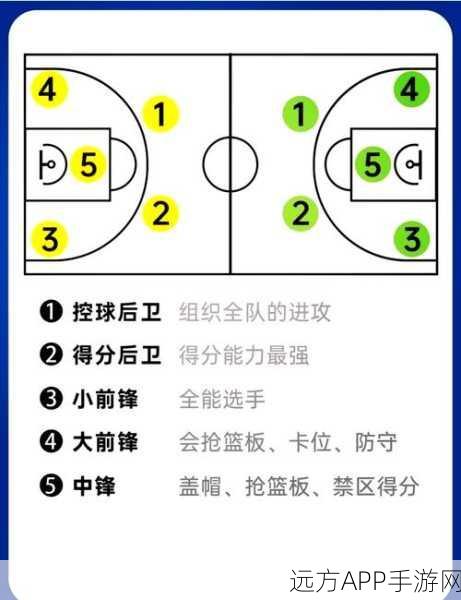 街头篮球手游后卫绝技揭秘，技能选取与实战攻略
