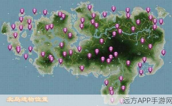 孤岛惊魂3深度探索,揭秘收集物品对游戏进程的全方位影响