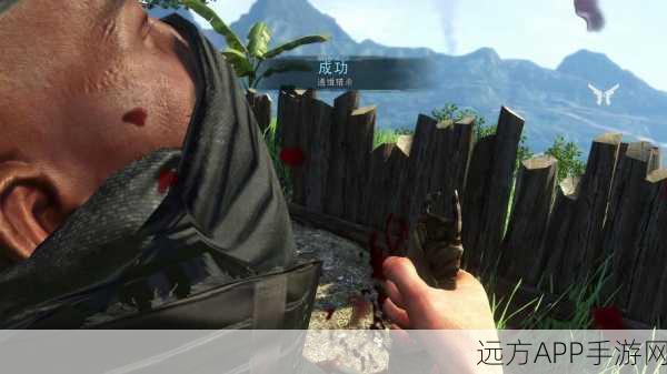 孤岛惊魂3深度探索,揭秘收集物品对游戏进程的全方位影响