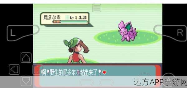 口袋妖怪绿宝石,揭秘闪光术学习之谜,掌握光系奥秘!