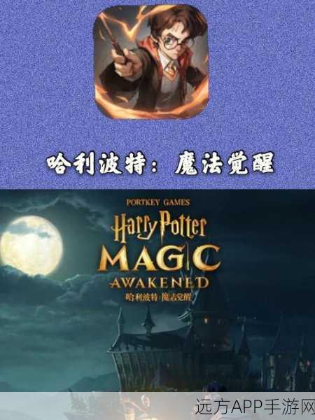 哈利波特魔法觉醒，禁林10星蓝色线索深度攻略与通关揭秘