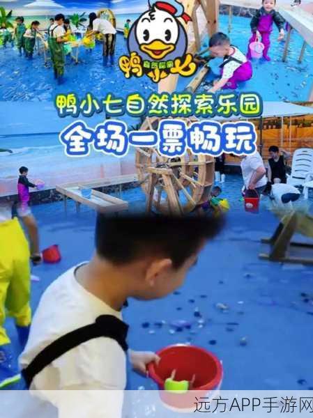 碰碰鸭，益智休闲新挑战，闯关乐趣无极限！