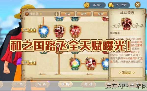 航海王燃烧意志，顶尖路飞阵容搭配攻略，解锁战斗新境界