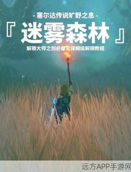 塞尔达传说,揭秘卡大师剑UG的隐藏挑战与无尽魅力