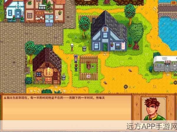 星露谷物语，离婚与孩子抚养权全攻略，打造和谐乡村生活