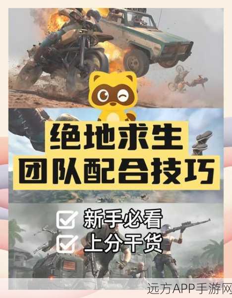 和平精英团队配合技巧