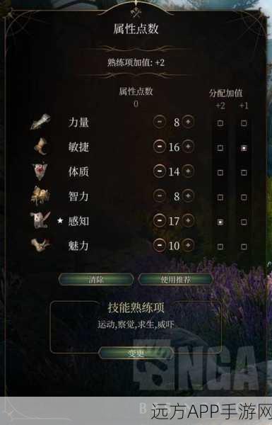 博德之门3枭能德鲁伊好用吗-博德之门3枭能德鲁伊介绍
