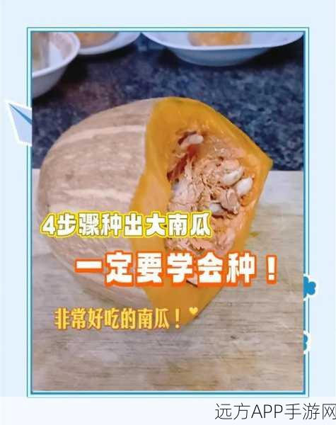 迷你世界南瓜种植秘籍,打造丰收乐园的必备攻略