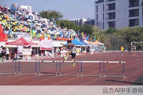 田径运动会2，燃情竞技，体验体育模拟盛宴！