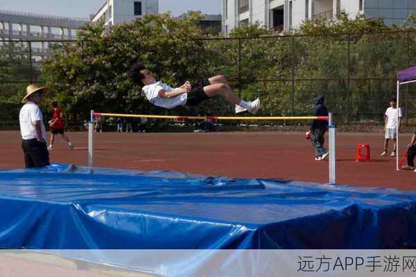 田径运动会2,燃情竞技,体验体育模拟盛宴!