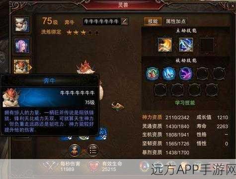镇魔曲御灵，灵兽之选，你带什么兽同行？
