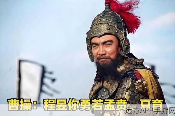 程昱智谋无双，三国杀中的策略大师