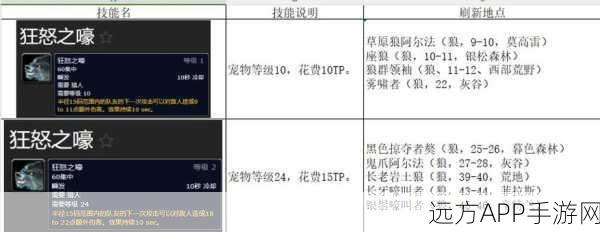 全职猎人手游深度解析,猎人种类大盘点及特色技能揭秘