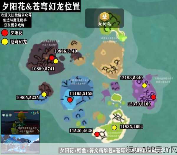 手游揭秘,创造与魔法旋岚草刷新机制全解析及探秘攻略