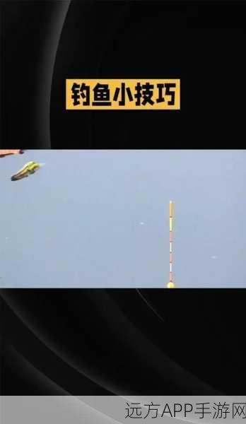 烟雨江湖钓鱼大赛秘籍，揭秘冠军级钓点与必胜技巧