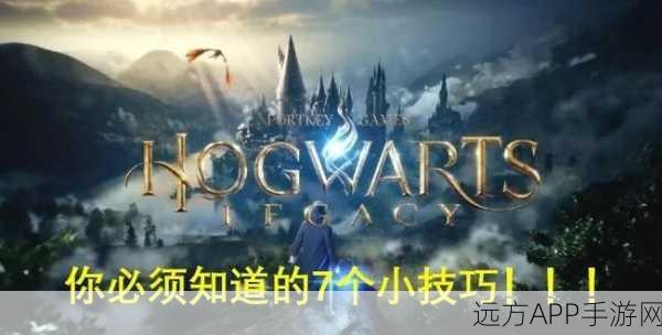 霍格沃茨之遗，镜子谜题终极解密，技巧与策略全揭秘