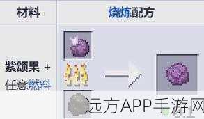 揭秘我的世界末地之旅，终极探险攻略