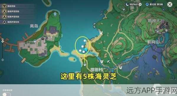 原神深度攻略,八重神子突破必备!海灵芝高效采集路线全揭秘