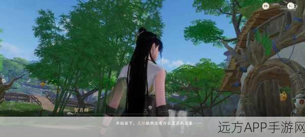 仙剑世界深度探索，揭秘万物有灵的奇幻之旅，灵韵奇观等你探秘！