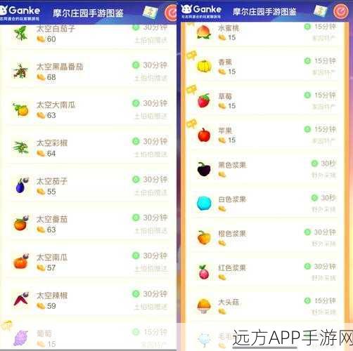 摩尔庄园手游,农夫高手进阶指南,揭秘高效种植与丰收夺冠秘籍