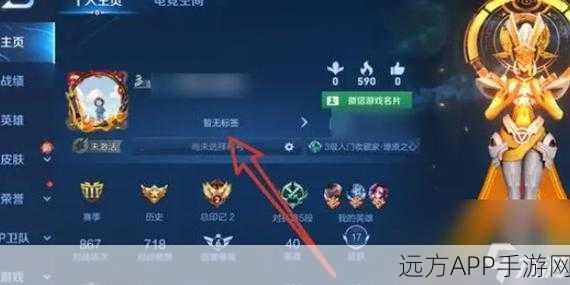 王者荣耀性别显示之谜，QQ资料隐藏为何游戏中仍显示为男生？