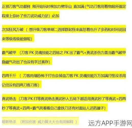 热血江湖刀客宝石搭配攻略，打造无敌刀客必备指南