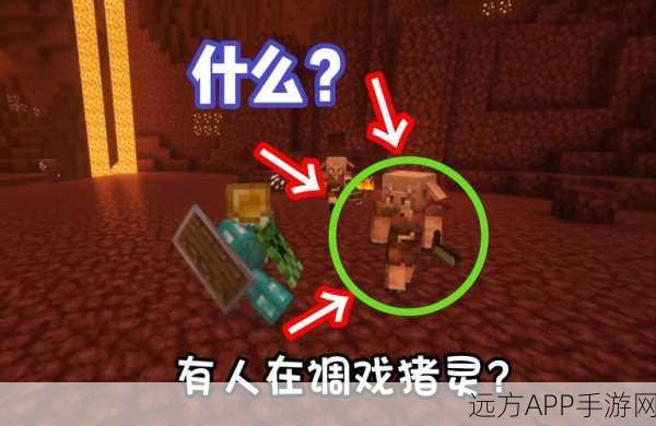 我的世界驯服萌宠猪全攻略，打造你的专属农场助手