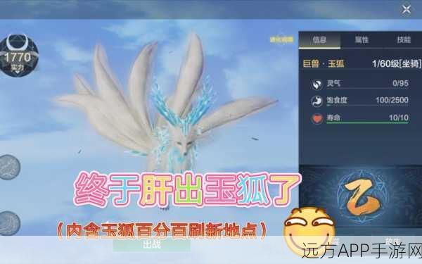 妄想山海玉狐技能搭配全攻略，解锁顶级战斗力的秘密