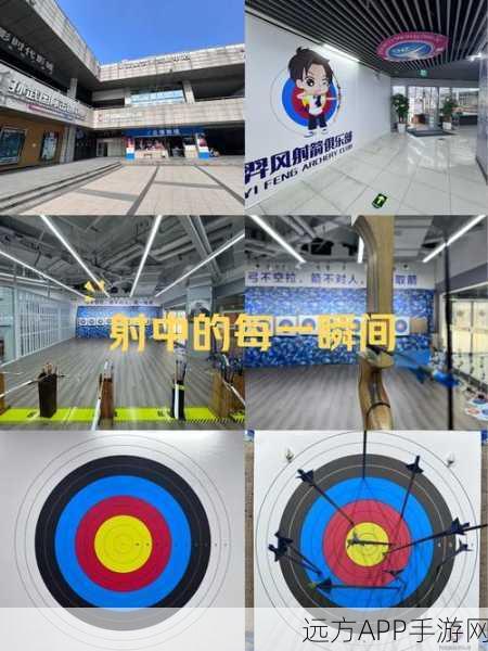 弓箭手单机版手机版,挑战无限,趣味射击盛宴等你来体验