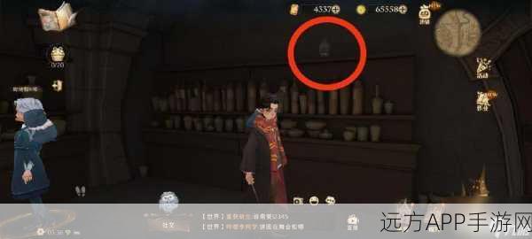 哈利波特魔法觉醒，廊桥秘境全揭秘，穿越技巧与隐藏宝藏攻略