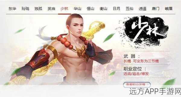 少林雄风再起！大唐无双手游少林职业深度剖析与竞技策略