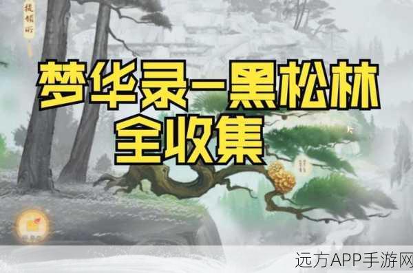 射雕手游梦华录,黑松林探险大赛,解锁收集新篇章