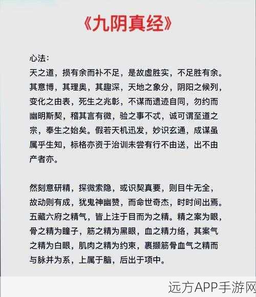 九阴真经手游深度解析,六合经属性全攻略