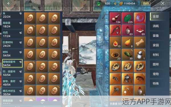 妄想山海深度攻略,丁级小阿鼓升阶全解析