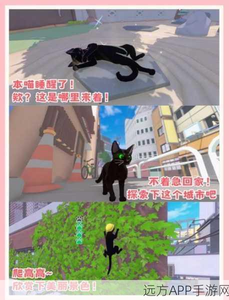 猫咪大冒险，探索大城市动作奇遇之旅