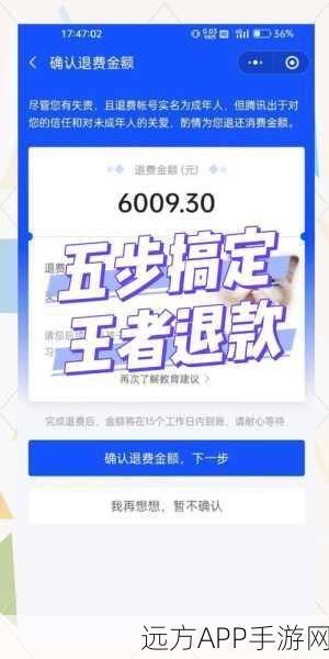 王者荣耀话费支付退款全解析，揭秘游戏支付流程与退款政策