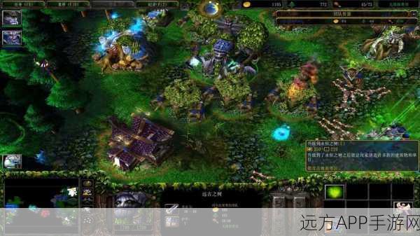 魔兽争霸3登顶王者之路,策略与技巧的终极指南
