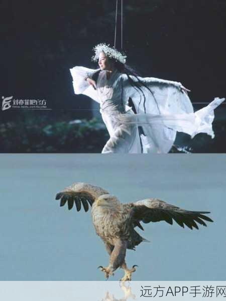 绝美江湖再现!神雕侠侣手游精彩瞬间与武林大赛盛况