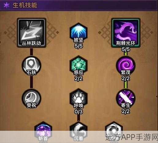 德鲁伊之光,不休的乌拉拉最强治疗技能深度解析与推荐
